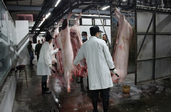 蒸汽模塊爐為屠宰場提高效率!